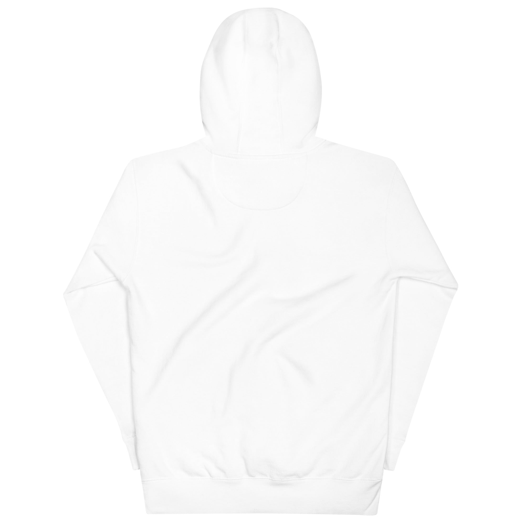 AAU Unisex Hoodie - TrackBarn