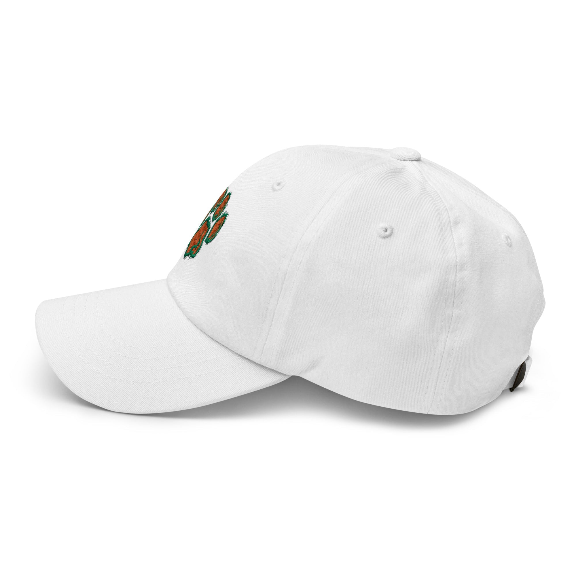 Cougars TF Dad hat - TrackBarn