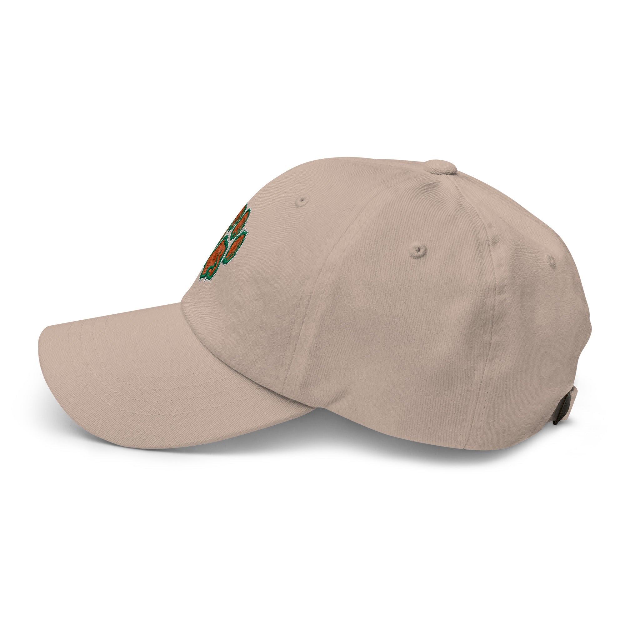 Cougars TF Dad hat - TrackBarn