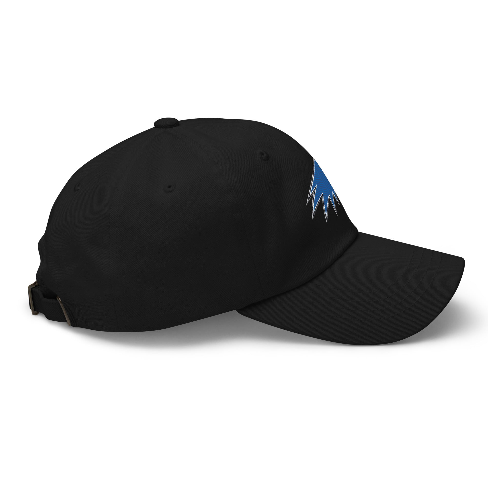 Hartwick Dad hat - TrackBarn