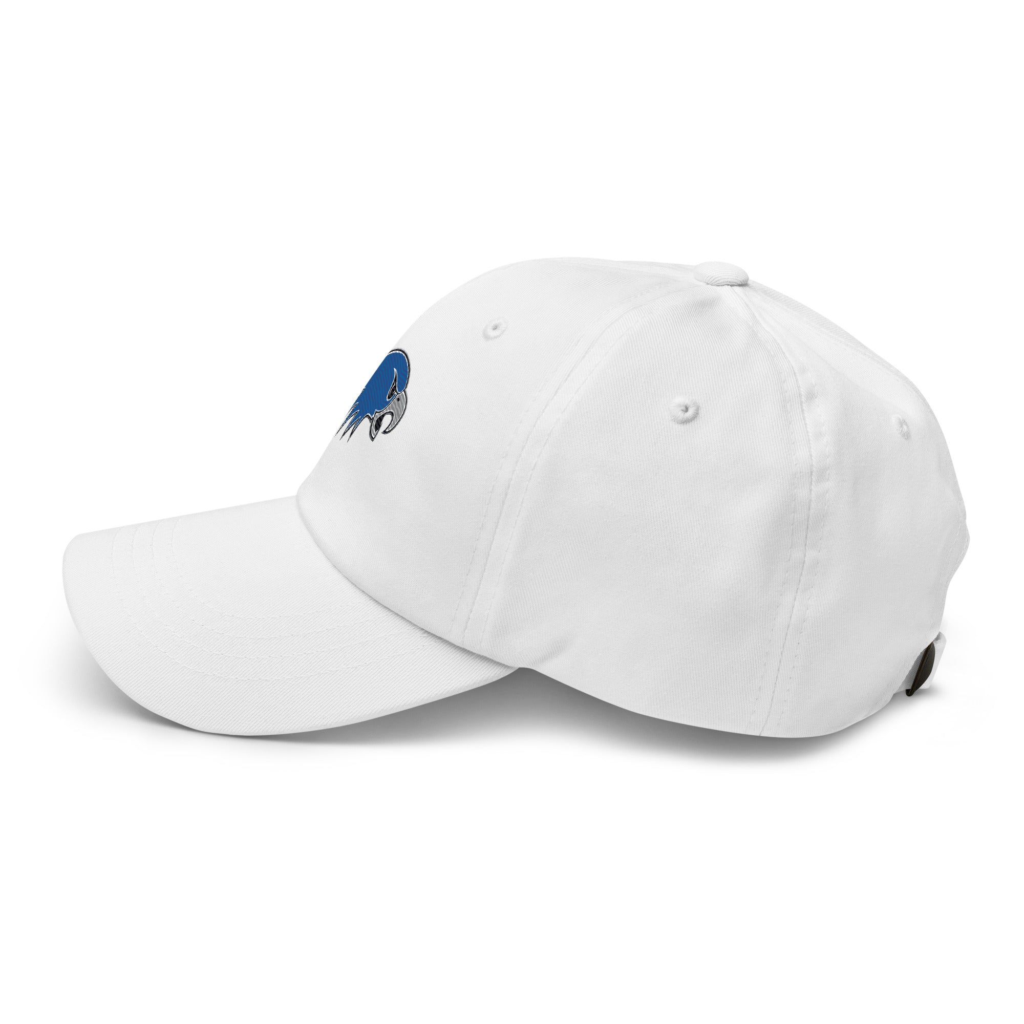 Hartwick Dad hat - TrackBarn