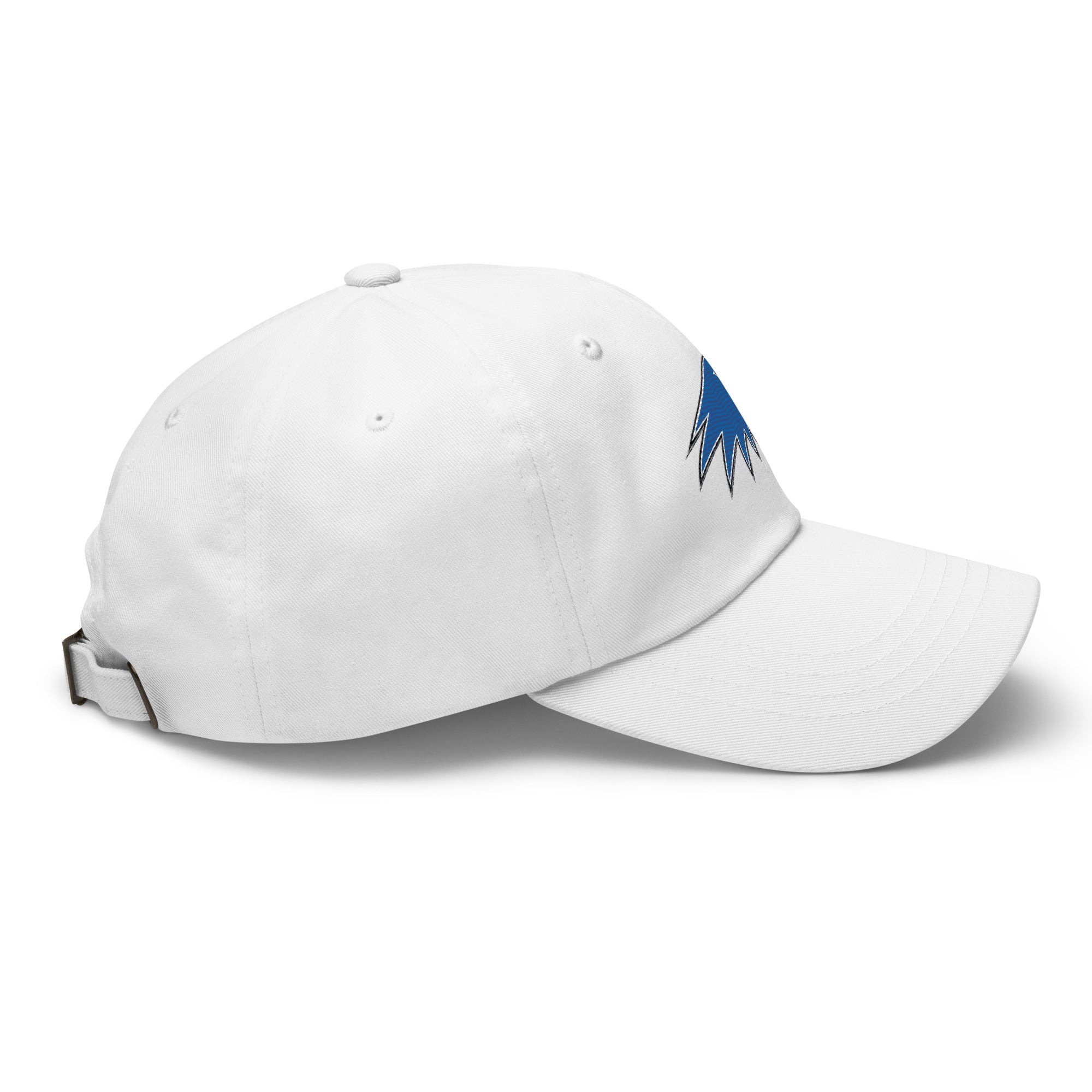 Hartwick Dad hat - TrackBarn