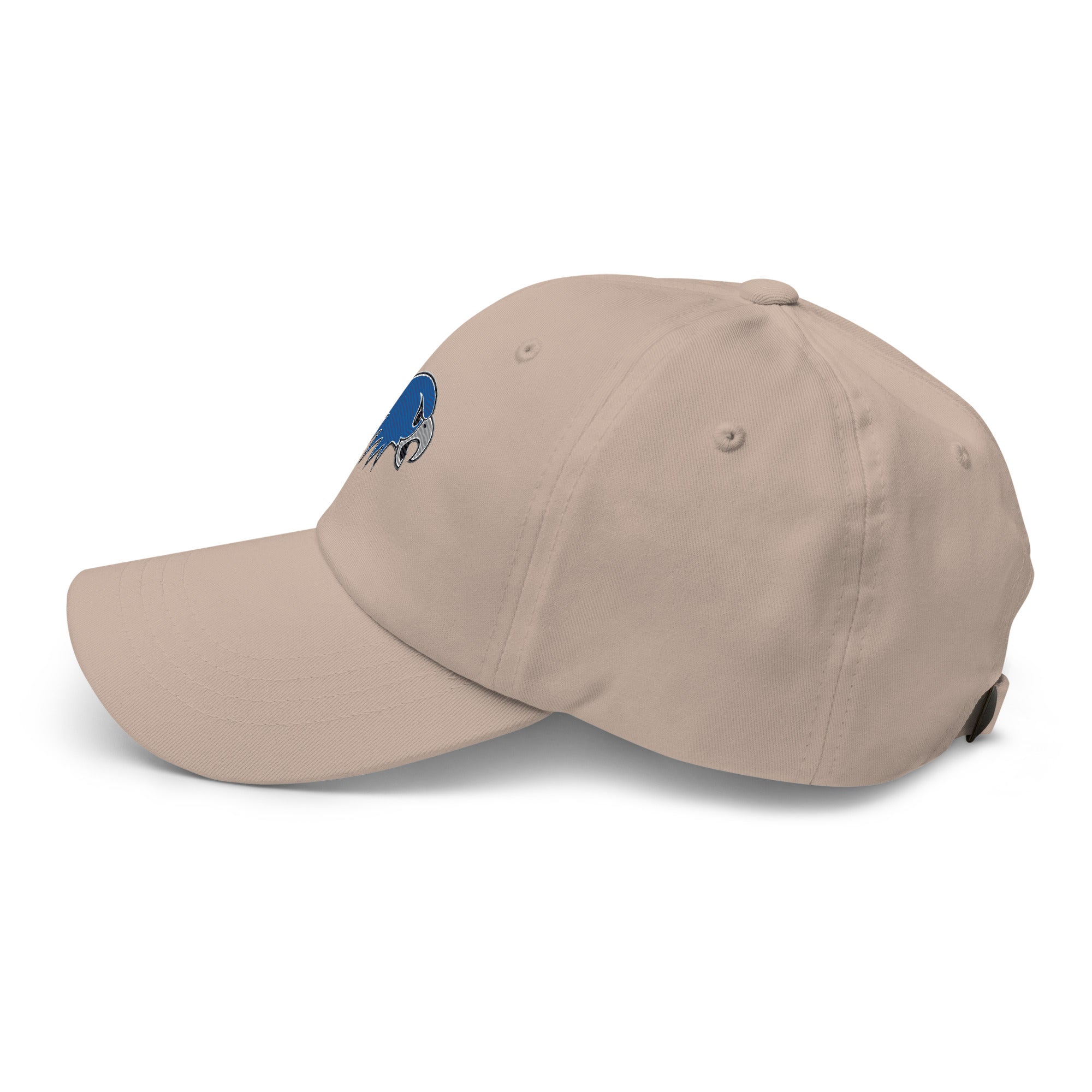 Hartwick Dad hat - TrackBarn