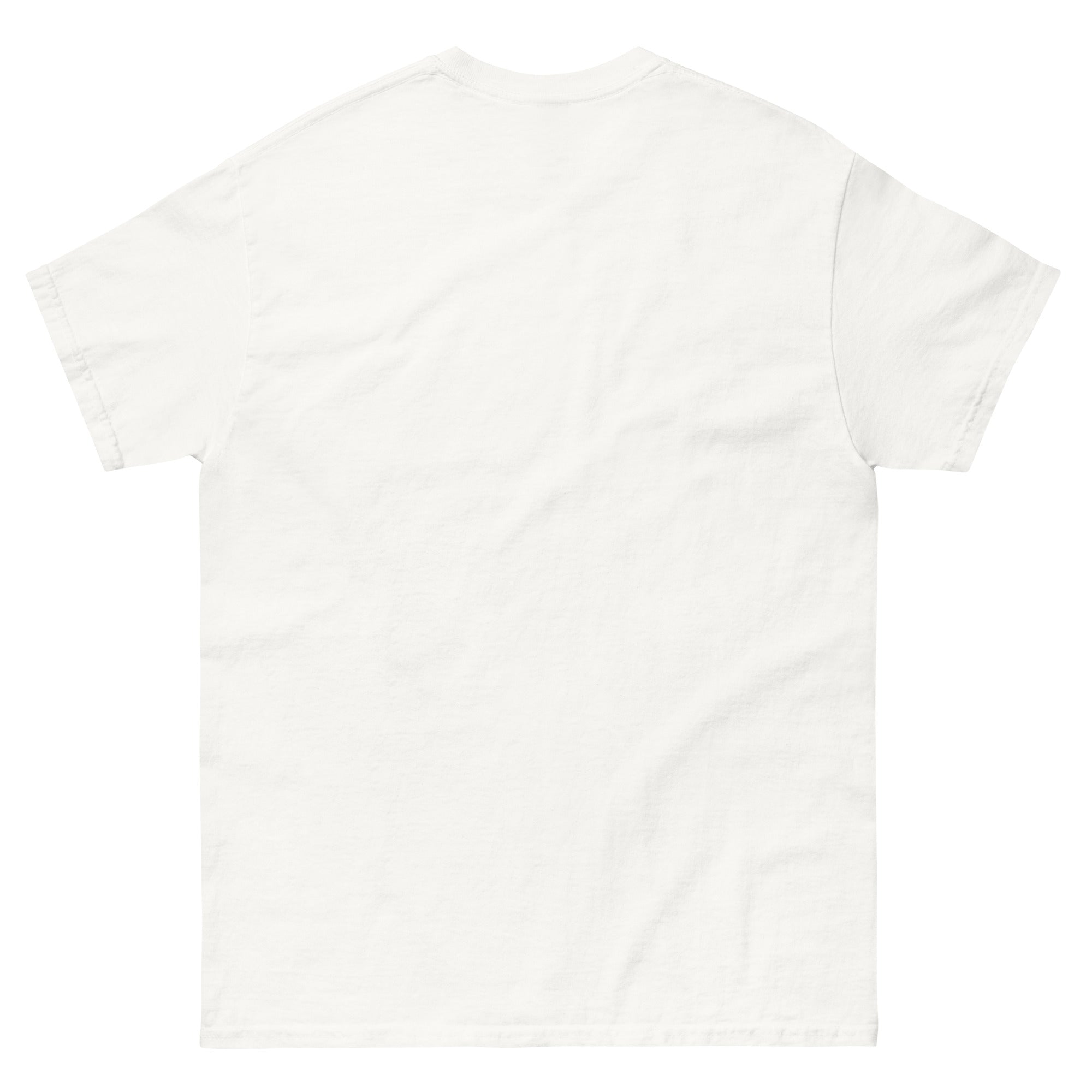 Hartwick Unisex classic tee - TrackBarn