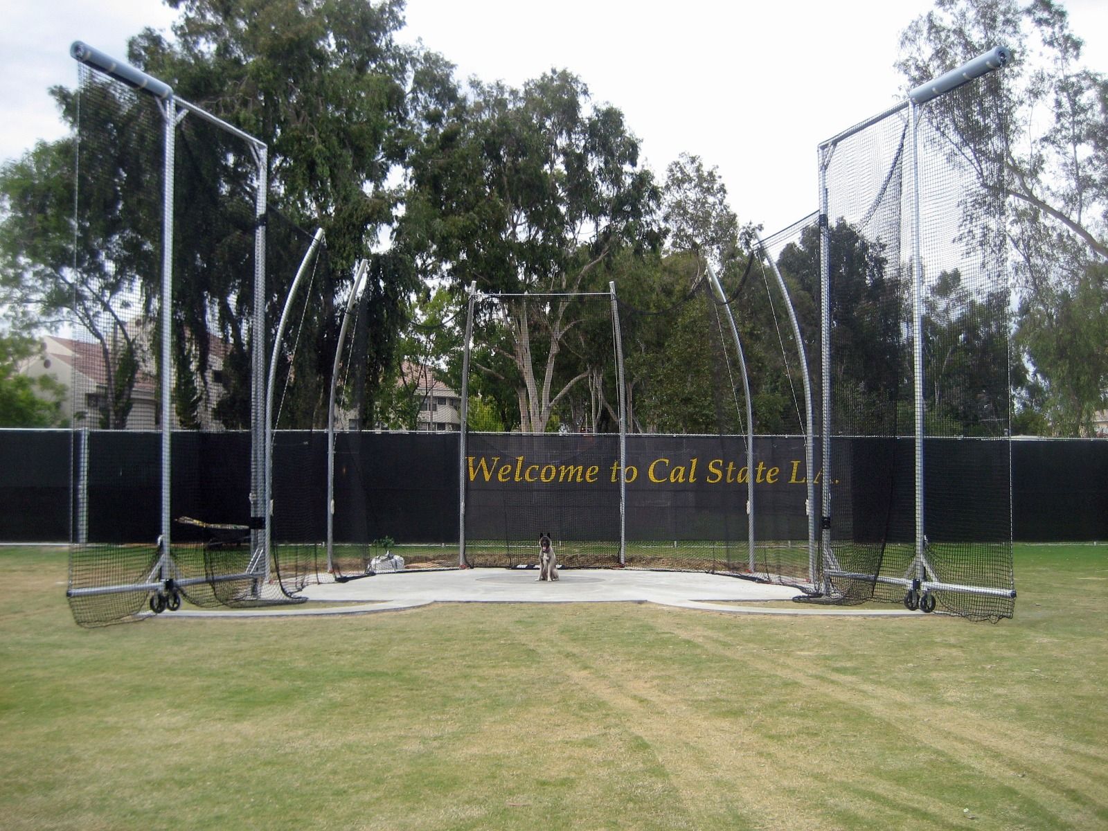 NCAA TALL DOUBLE RING HAMMER CAGE