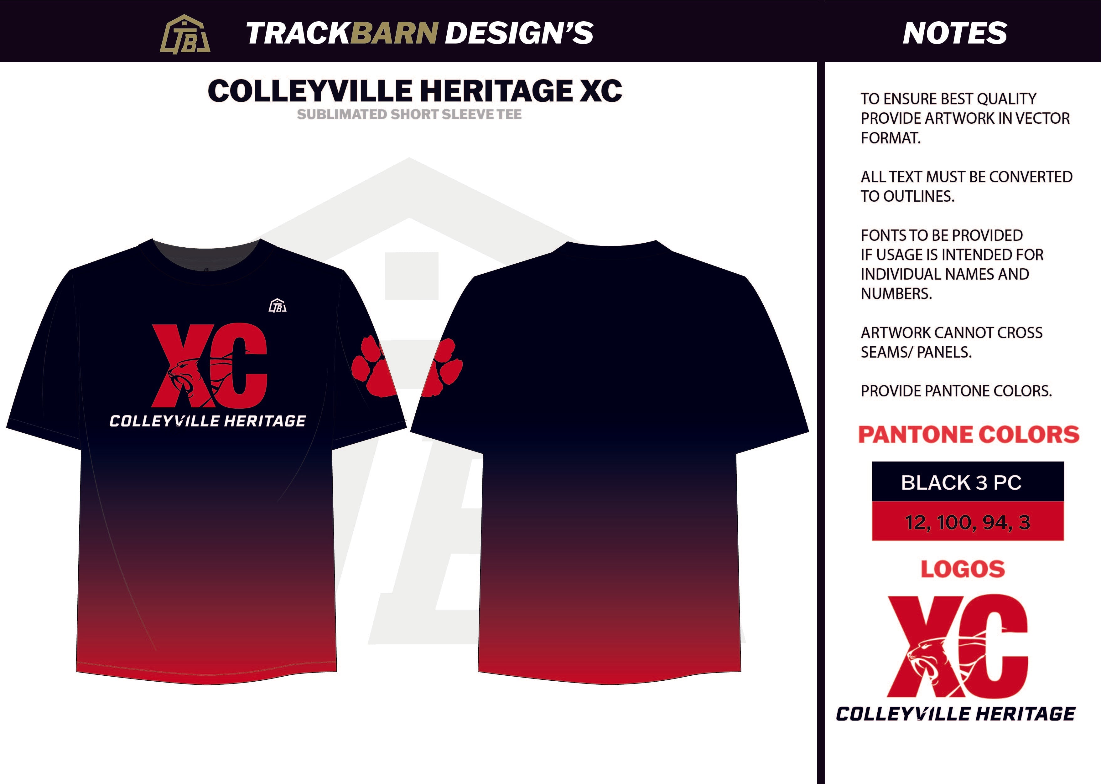 ColleyVille-- Youth Tech Tee